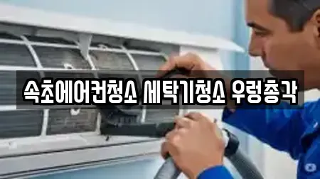 속초시 청호동 청소 가격 비교 9