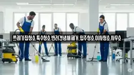 쓰레기집청소.특수청소.반려견냄새제거.입주청소.이사청소.사무소