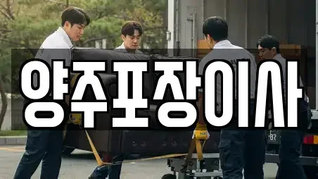 포장이사 양주시 고읍동 TOP 19 리스트