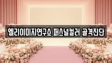엘리이미지연구소 퍼스널컬러 골격진단
