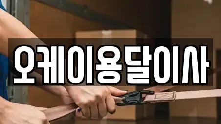오케이용달이사