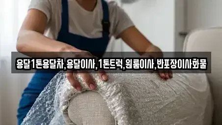 용달1톤용달차,용달이사,1톤트럭,원룸이사,반포장이사화물