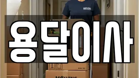 용달이사