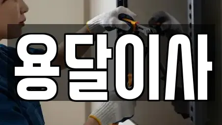 용달이사