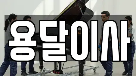 용달이사