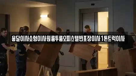 용달이사소형이사원룸투룸오피스텔반포장이사1톤트럭이사
