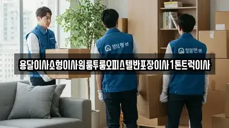용달이사소형이사원룸투룸오피스텔반포장이사1톤트럭이사