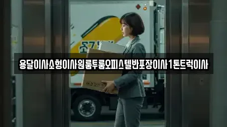 용달이사소형이사원룸투룸오피스텔반포장이사1톤트럭이사