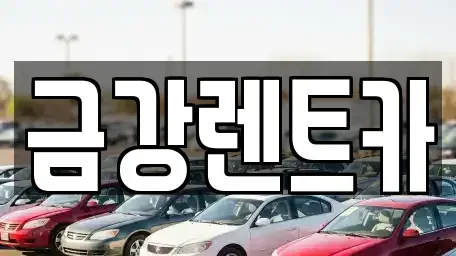 울산 북구 효문동 렌트카 전문 금강렌트카