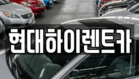 울산 북구 효문동 렌트카 전문 현대하이렌트카