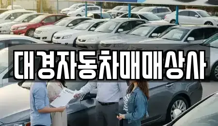 울산 북구 효문동 중고차 전문 대경자동차매매상사