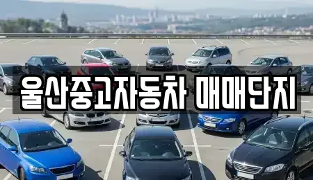 울산 북구 효문동 중고차,렌트카,중고차매입,중고차매매,장기렌트카,단기렌트카