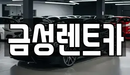 울산광역시 중구 복산동 렌트카 전문 금성렌트카