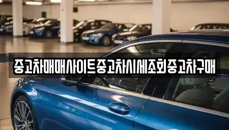 울산광역시 중구 복산동 중고차매매 전문 중고차매매사이트중고차시세조회중고차구매