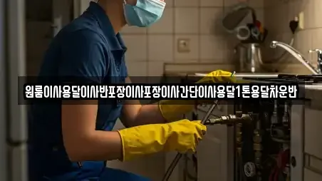 원룸이사용달이사반포장이사포장이사간단이사용달1톤용달차운반