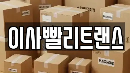 이사빨리트랜스