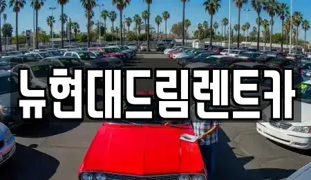 인천 계양구 장기동 렌트카 전문 뉴현대드림렌트카