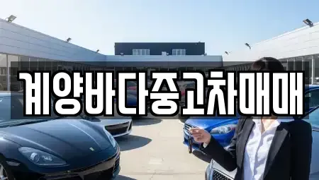 인천 계양구 중고차 전문 계양바다중고차매매
