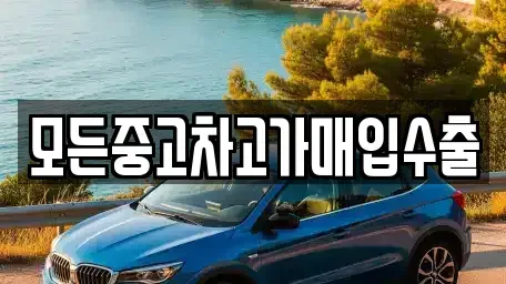 인천 동구 금곡동 중고차매입 전문 모든중고차고가매입수출