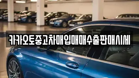 인천 동구 금곡동 중고차매입 전문 카카오토중고차매입매매수출판매시세