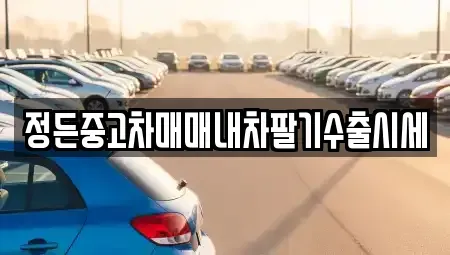 인천 미추홀구 학익동 중고차 전문 정든중고차매매내차팔기수출시세
