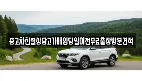 인천 미추홀구 학익동 중고차매입 전문 중고차친절상담고가매입당일이전무료출장방문견적