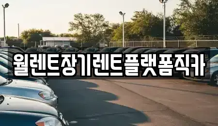 인천 부평구 삼산동 장기렌트카 전문 월렌트장기렌트플랫폼직카