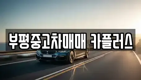 인천 부평구 삼산동 중고차 전문 부평중고차매매 카플러스