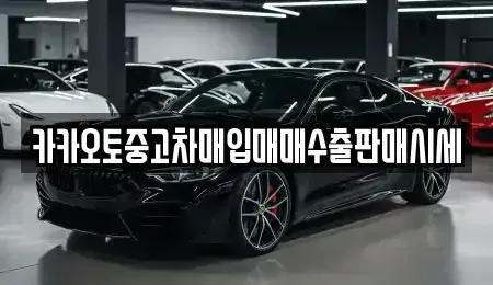 인천 부평구 삼산동 중고차매입 전문 카카오토중고차매입매매수출판매시세