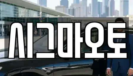 인천 부평구 일신동 단기렌트카 전문 시그마오토