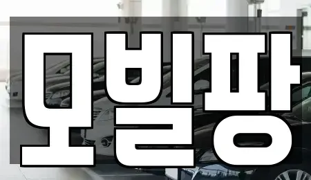 인천 부평구 일신동 중고차매매 전문 모빌팡