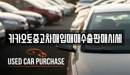 인천 서구 연희동 중고차 전문 카카오토중고차매입매매수출판매시세