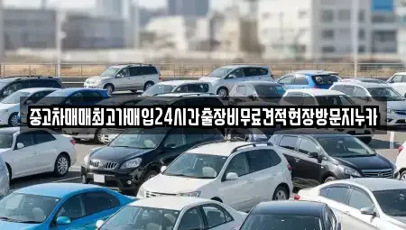 인천 중구 인현동 중고차매매 전문 중고차매매최고가매입24시간출장비무료견적현장방문지누카