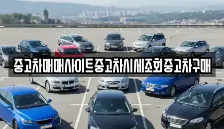 인천광역시 강화군 삼산면 중고차매매 전문 중고차매매사이트중고차시세조회중고차구매