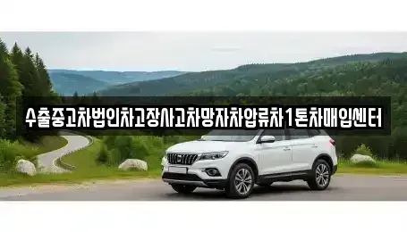 인천광역시 강화군 삼산면 중고차매입 전문 수출중고차법인차고장사고차망자차압류차1톤차매입센터