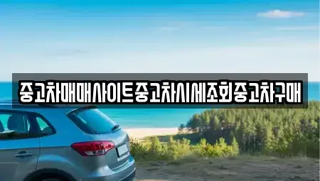 인천광역시 강화군 양도면 중고차매매 전문 중고차매매사이트중고차시세조회중고차구매