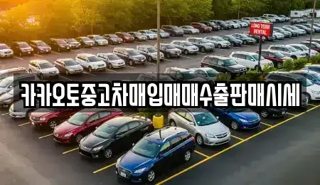 인천광역시 강화군 양도면 중고차매입 전문 카카오토중고차매입매매수출판매시세