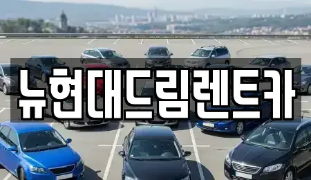 인천광역시 서구 당하동 렌트카 전문 뉴현대드림렌트카