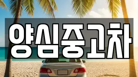 인천광역시 서구 당하동 중고차매매 전문 양심중고차