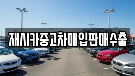 인천광역시 서구 당하동 중고차매매,단기렌트카,중고차매입,장기렌트카,중고차,렌트카