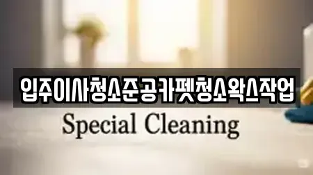 입주이사청소준공카펫청소왁스작업