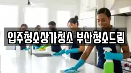 입주청소상가청소 부산청소드림