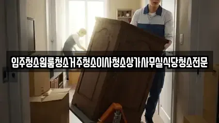 입주청소원룸청소거주청소이사청소상가사무실식당청소전문