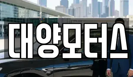 전남 담양군 창평면 중고차매매 전문 대양모터스