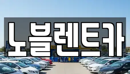전남 무안군 몽탄면 렌트카 전문 노블렌트카