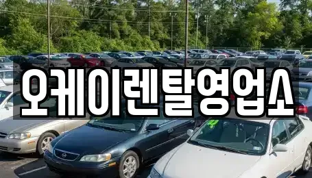 전남 무안군 몽탄면 렌트카 전문 오케이렌탈영업소