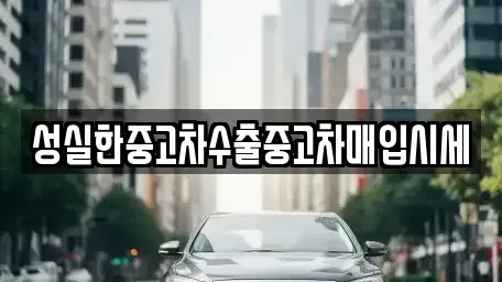 전남 무안군 몽탄면 중고차 전문 성실한중고차수출중고차매입시세