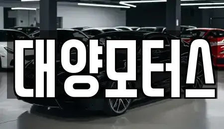 전남 보성군 미력면 중고차매매 전문 대양모터스