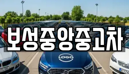 전남 보성군 미력면 중고차매매,단기렌트카,중고차매입,장기렌트카,중고차,렌트카