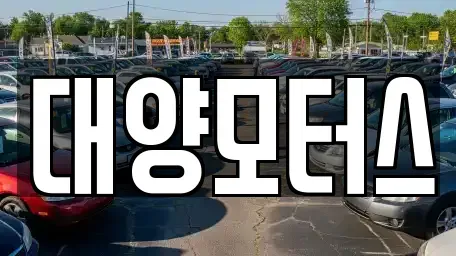 전남 순천시 와룡동 중고차 전문 대양모터스